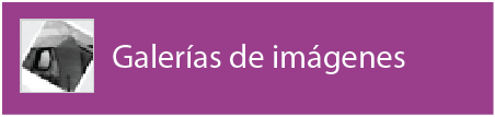 Galer&iacute;as de im&aacute;genes