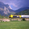 Trenes estrella