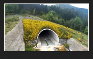 Licitado el proyecto de construcci�n de plataforma del sector 2 del tramo Mondrag�n-Elorrio-Vergara de la Y Vasca
