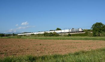 Nuevo tr�fico de frutas y hortalizas en contenedores frigor�ficos entre Valencia, Barcelona y Rotterdam