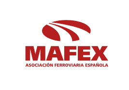 Seminario online de Mafex